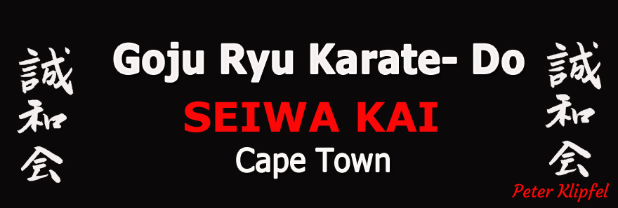 Seiwakai Karate for children and adults 