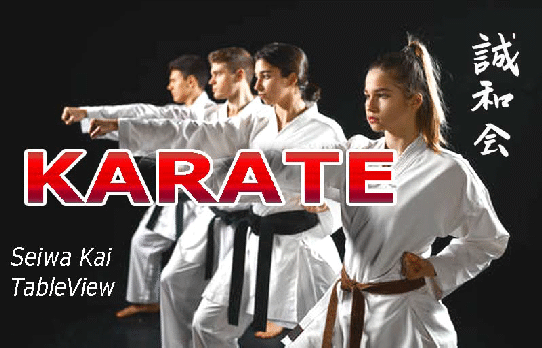 Traditional Japanese dojo in TableView Cape Town 