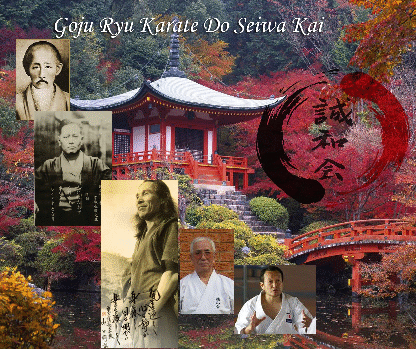 history of Seiwa Kai - Tableview Dojo 